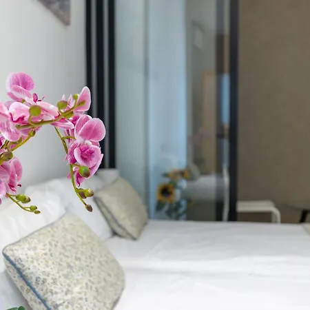 Mediterraneo By Neohotels-centro 8 Min By Metro 公寓 *